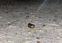 Homem é m0rt0 a t1r0s na porta de casa no Lírio do Vale