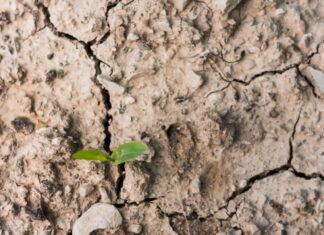 Ministério Público acompanha preparação de Atalaia do Norte para enfrentar estiagem e impactos do El Niño