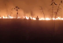 Fogo consome região de mata e assusta moradores em comunidades rurais de Caapiranga