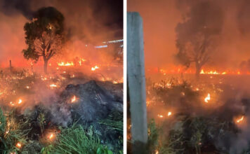 VÍDEO: Fogo atinge vegetação na Avenida das Torres e assusta populares