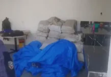 Duas pessoas foram presas e mais duas toneladas e meia de entorpecentes são apreendidas em casa no Tarumã