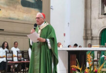 Cardeal Steiner: Jesus nos convida a participar do Reino de Deus