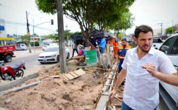 No Dia da Árvore, prefeito Renato Junior vistoria obra em canteiro central e reforça preservação da arborização na avenida Margarita
