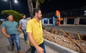 Prefeito Renato Junior garante permanência de árvores em canteiros centrais e anuncia plantio de novas