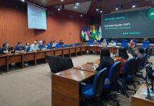 Suframa reúne empresas envolvidas no projeto-piloto do novo Sistema de Informações de Projetos Industriais