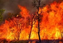Em Juruá, MP aciona Justiça por aquisição de equipamentos de combate a incêndios pelo município