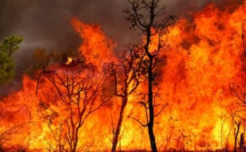 Em Juruá, MP aciona Justiça por aquisição de equipamentos de combate a incêndios pelo município