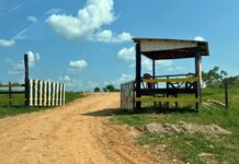 Ministério Público cobra Prefeitura de Envira por descumprimento de prazos e descarte ilegal de lixo em terreno particular