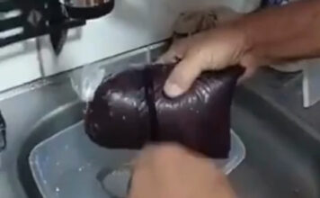 VÍDEO: Homem denuncia à venda de açaí com papel higiênico na Feira da Panair em Manaus