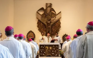 Bispos católicos se manifestam contra conservadorismo autoritário na Igreja e pedem voto consciente em defesa da democracia, dos pobres, da soberania e do meio ambiente