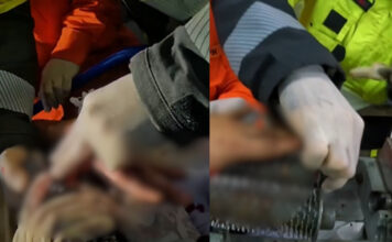 VÍDEO: Bombeiros resgatam trabalhador que ficou com a mão presa em amaciador de carne em Manaus