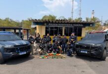 PRF encontra mochilas com cocaína e skunk durante fiscalização em ônibus em Manaus