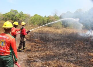 Prefeitura de Parintins envia brigadistas e prepara servidores contra incêndios na Vila Amazônia