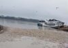 VÍDEO: Milhares de peixes mortos são filmados por pescadores em rio de Manacapuru