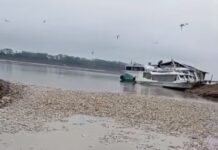 VÍDEO: Milhares de peixes mortos são filmados por pescadores em rio de Manacapuru