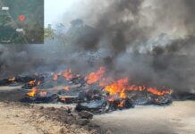 Ipaam multa proprietário de terreno em R$ 100 mil após incêndio e queima de pneus em terreno no Careiro da Várzea