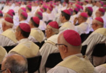 Carta de bispos católicos não cita Flávio, mas associa candidatura a ameaça à democracia