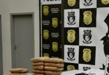 Denarc apreende carga de drog4s em transportadora no Santa Etelvina