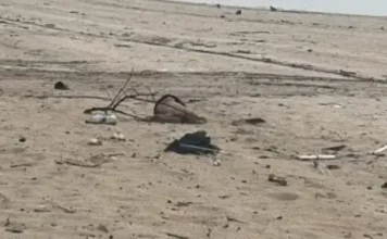 Banhistas encontram um c0rp0 na praia da Ponta Negra em Manaus