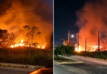 VÍDEO: Fogo consome área de mata próximo a empresa na Torquato Tapajós